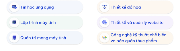 Tin học ứng dụng, thiết kế đồ họa, lập trình máy tính, thiết kế và quản lý website, quản trị mạng máy tính, công nghệ kỹ thuật chế biến và bảo quản thực phẩm